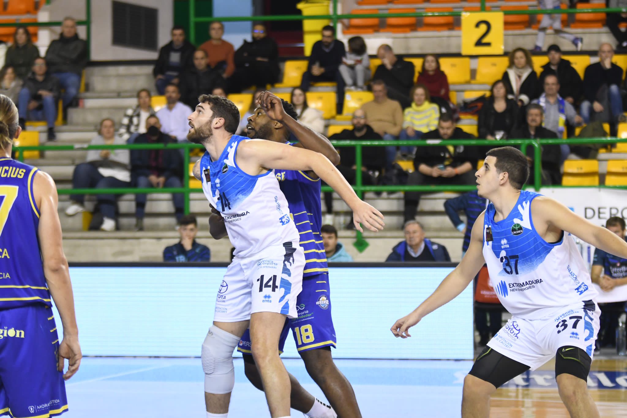 cc basket