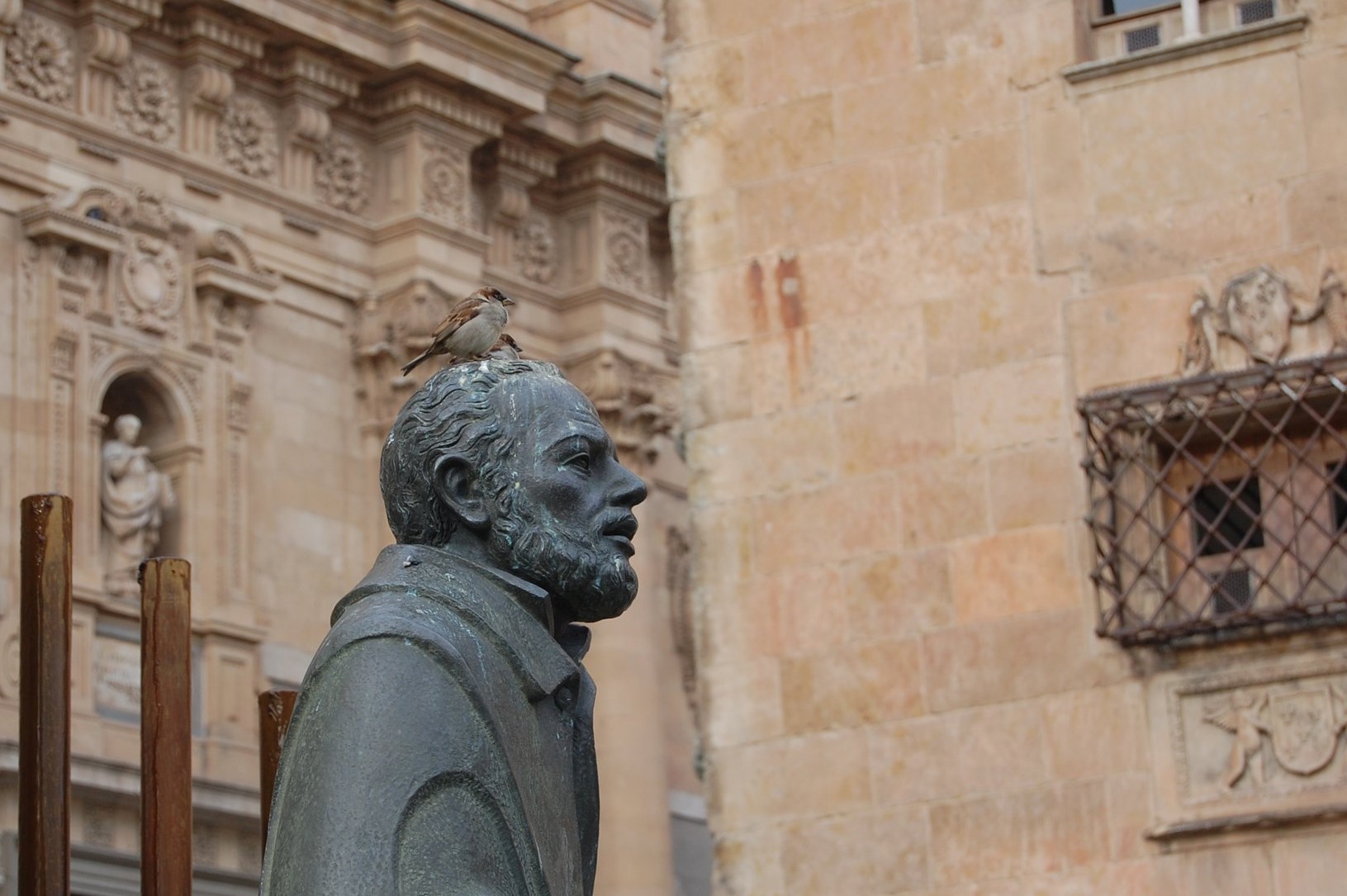salinas y el pajarito