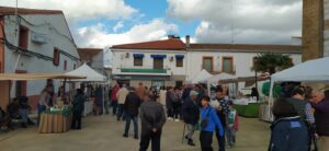 salorino