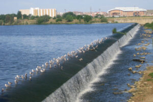 agua guadiana