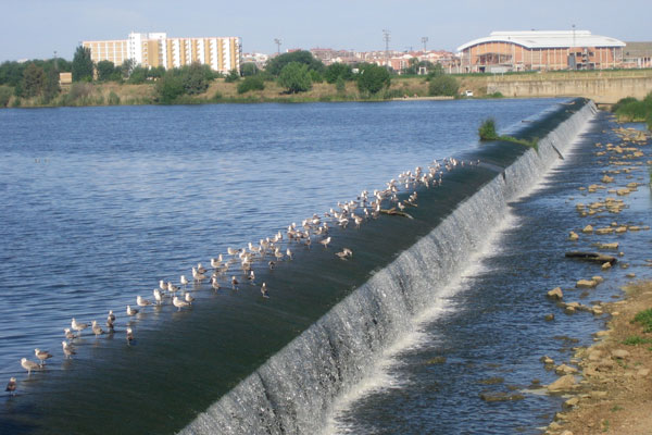agua guadiana