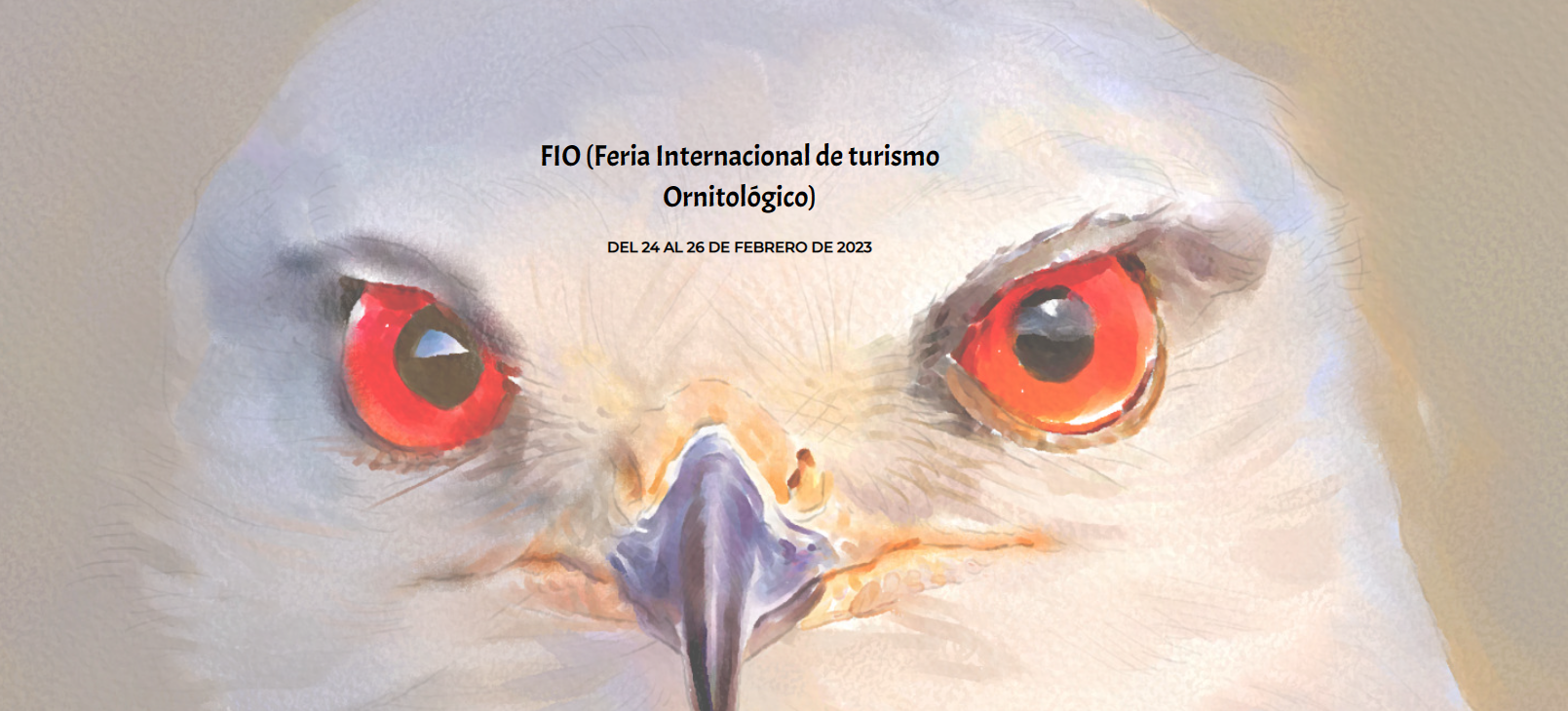 fio