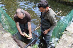 piscifactoria jerte
