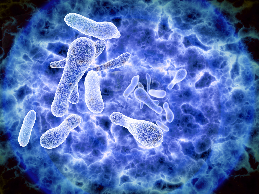 legionella