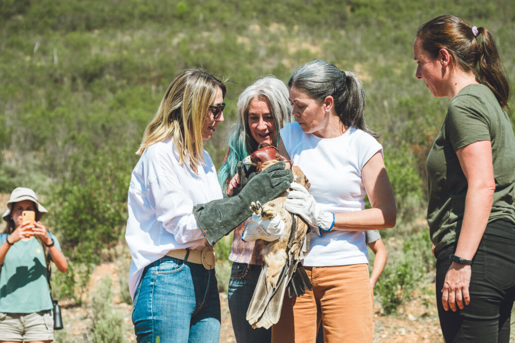 aguila 2