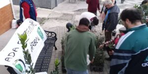 cadac extremeno un arbol