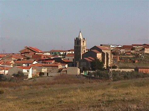 holguera