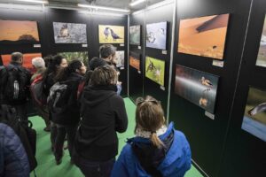 FIO © Turismo de Extremadura