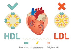 HDL