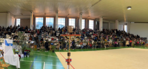 festival guarena