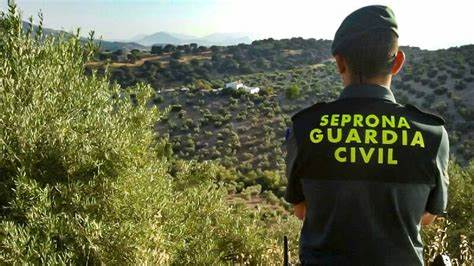 agente seprona