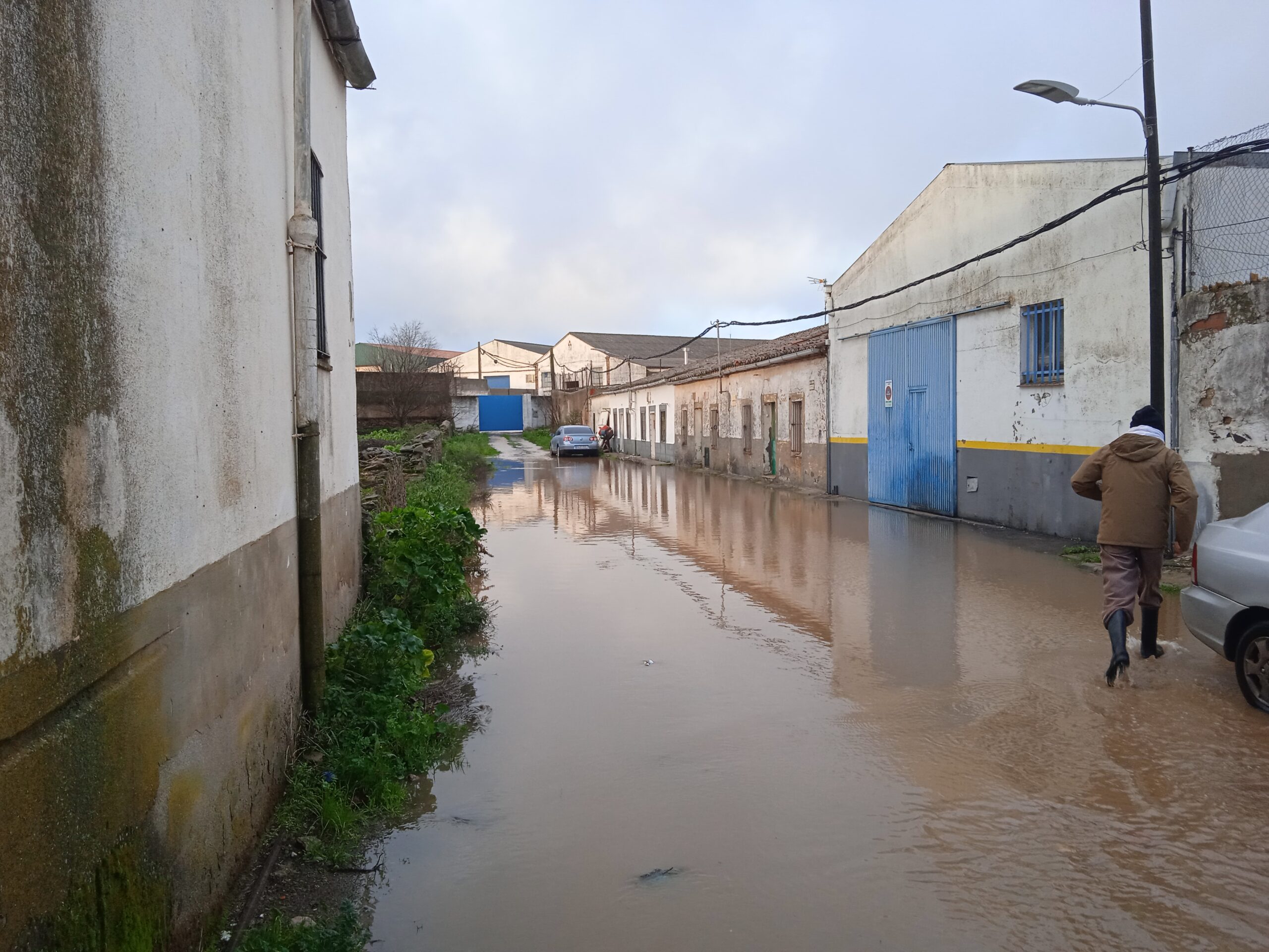 charca musia inundada scaled