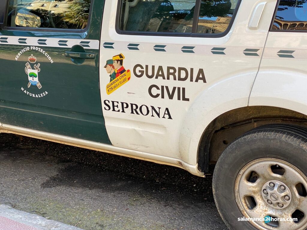 seprona