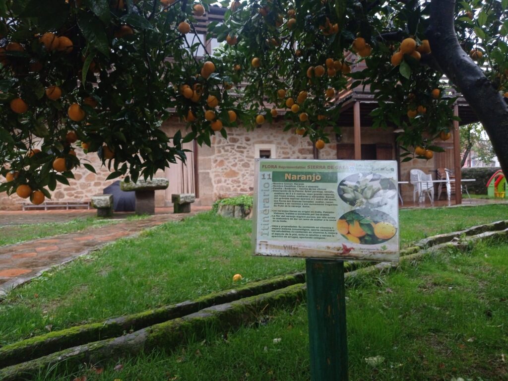sietevillas 1