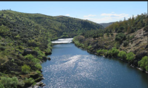 rio tajo buena