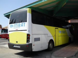 bus