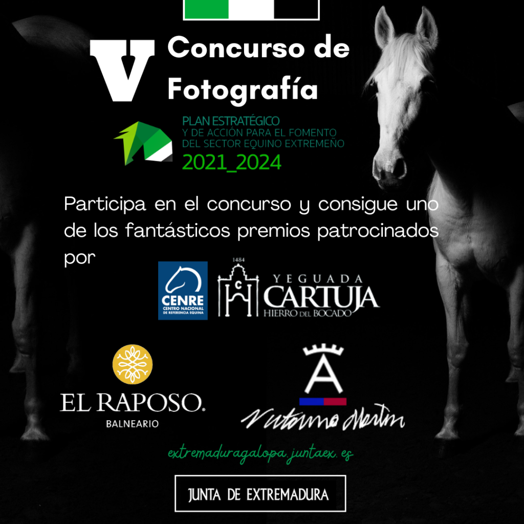 Ecuestre concurso