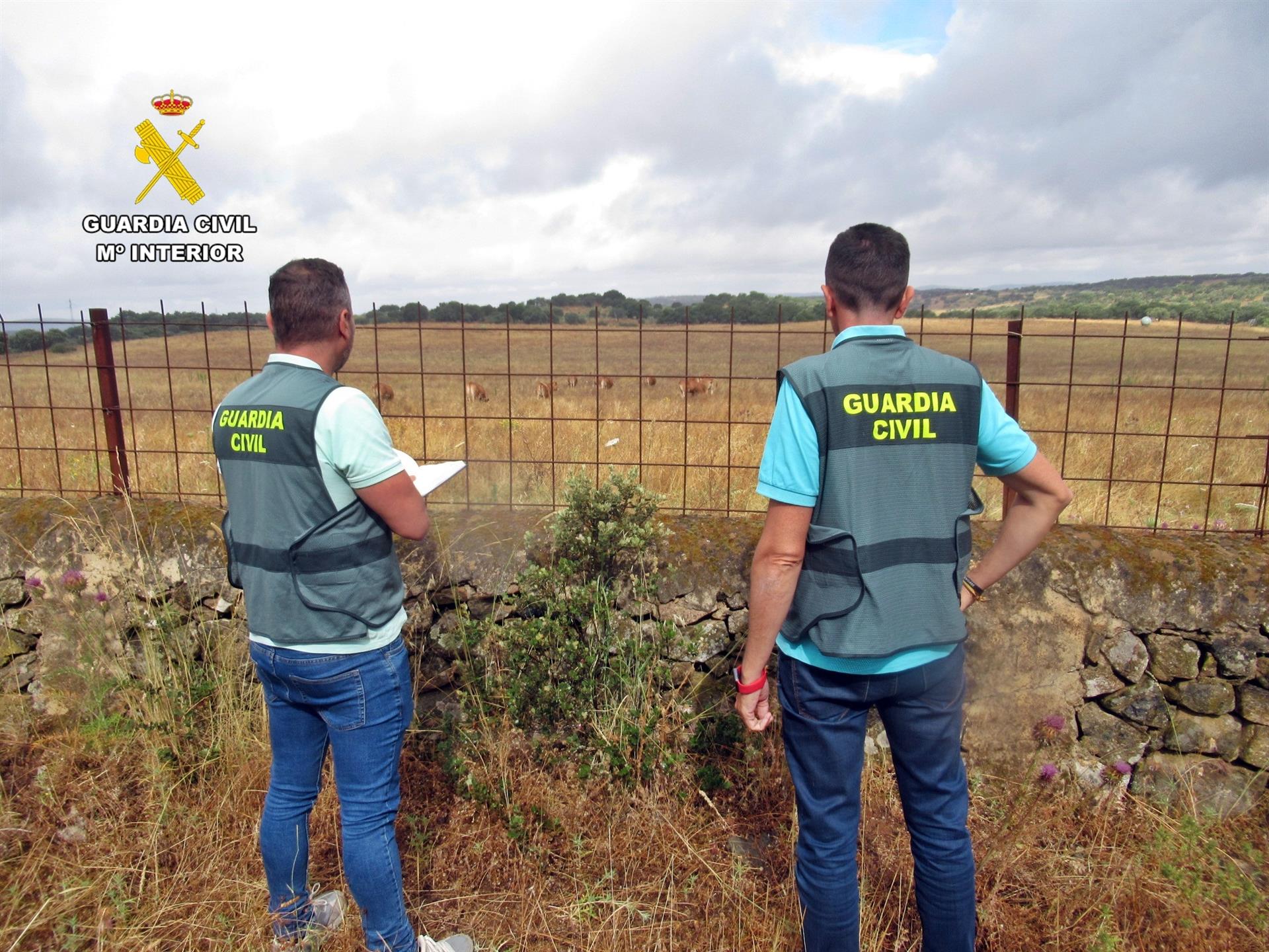 guardia civil