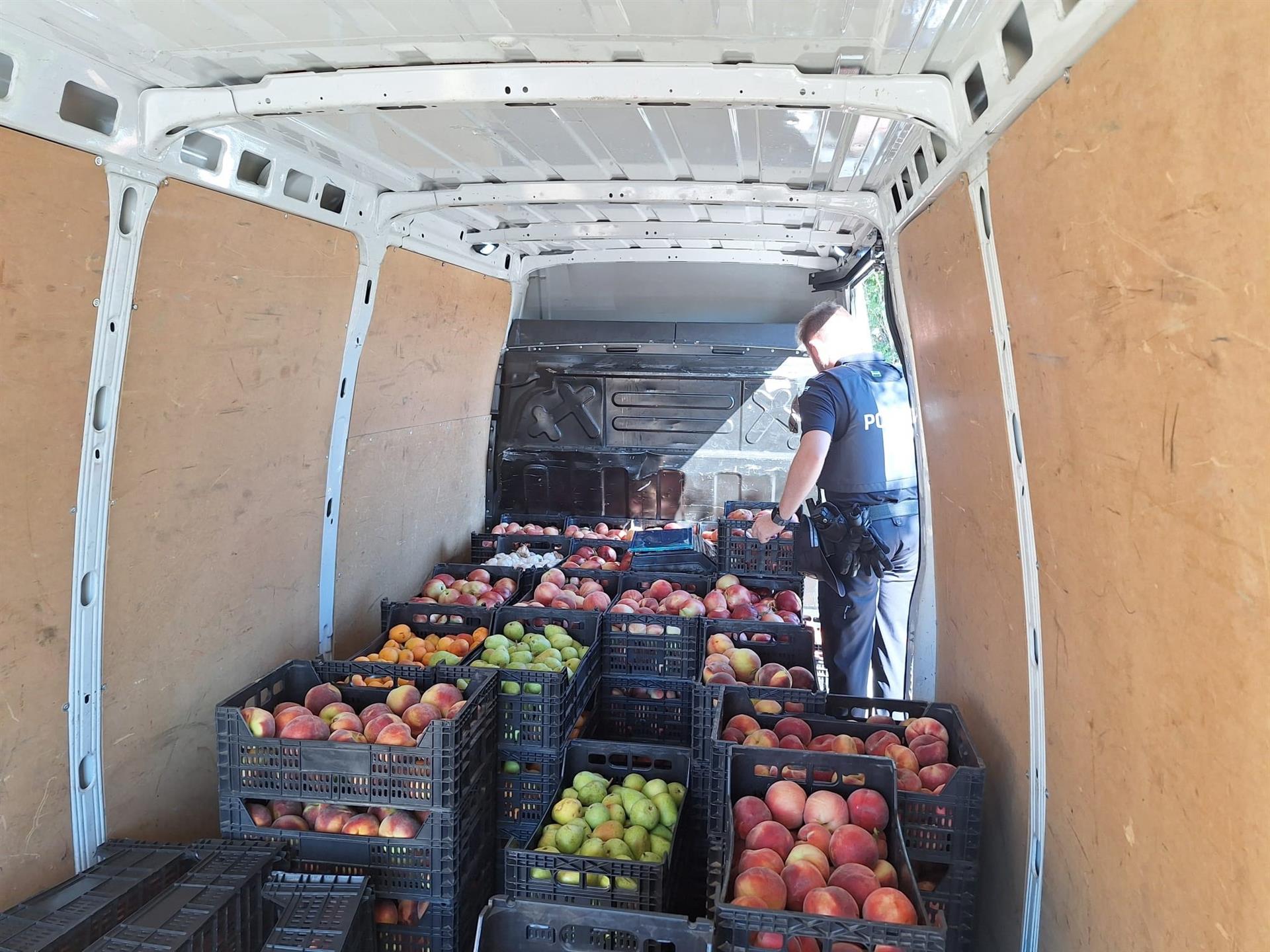 fruta