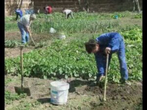 huerto de ocio