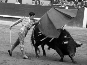 paco camino