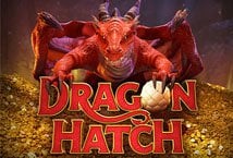 dragon hatch