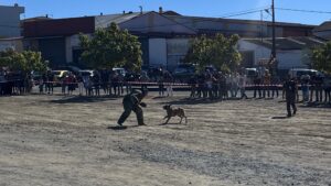 feria perro