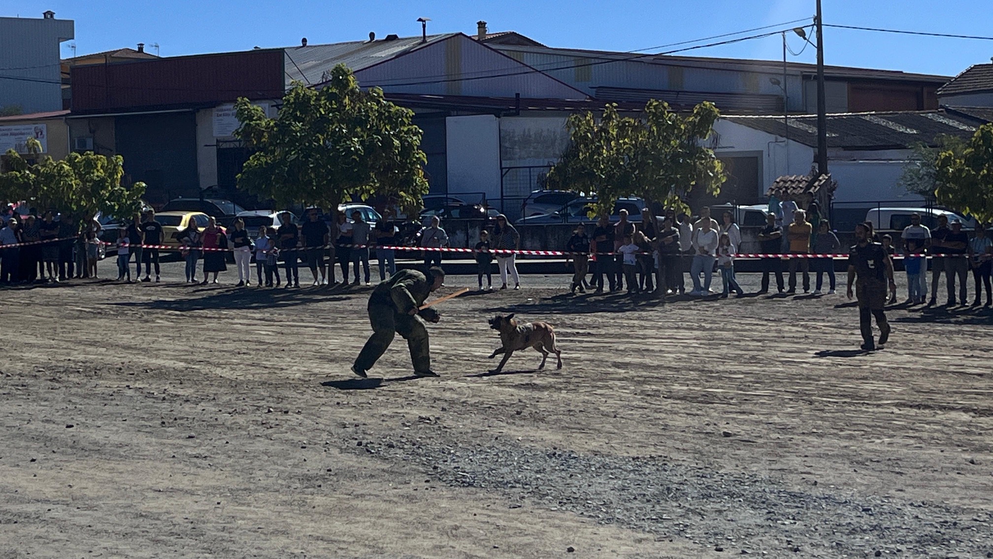 feria perro