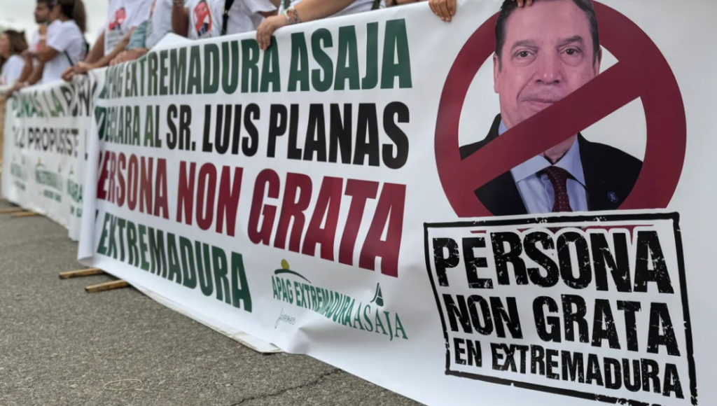 manifa zafra