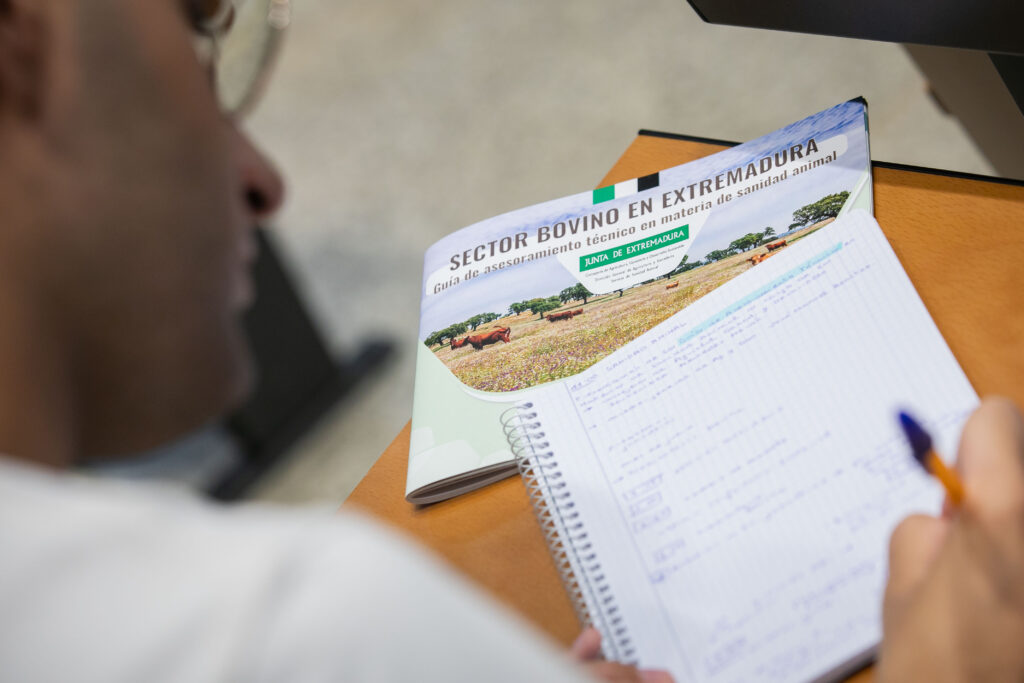 Extremadura lanza nueva estrategia para combatir la tuberculosis bovina sextor bovino