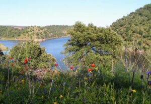 monfrague primavera