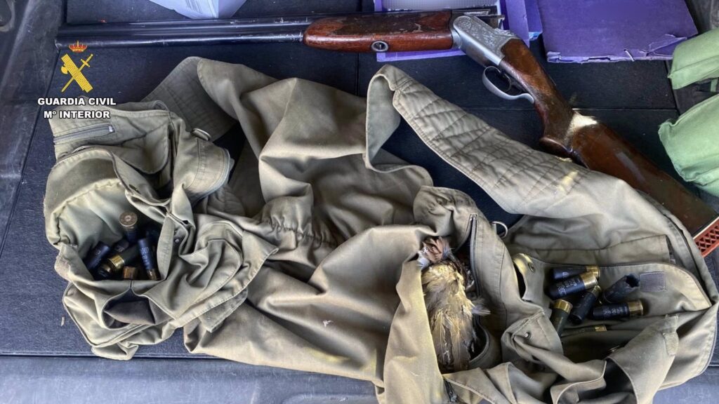 Dos cazadores investigados por la Guardia Civil por tenencia ilícita de armas y delito contra la flora y la fauna caza