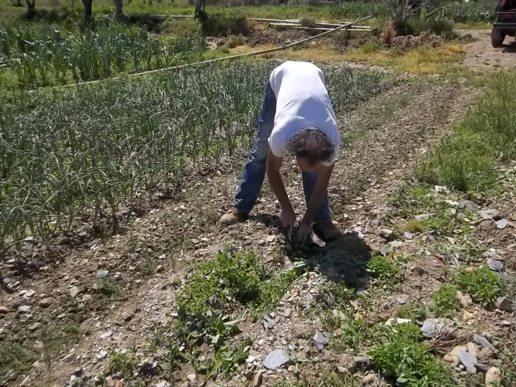 julio 1