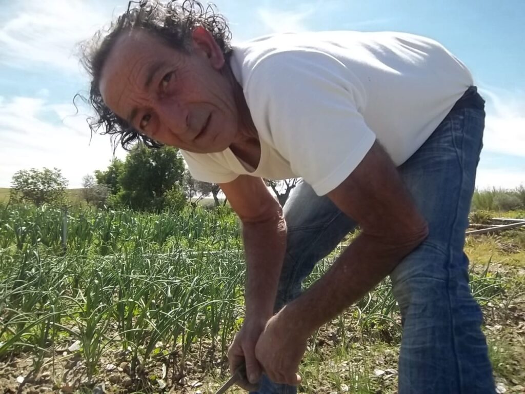 Julio Rebollo, agricultor de la Ribera de Cáceres, Premio Valores Extremeños julio 2