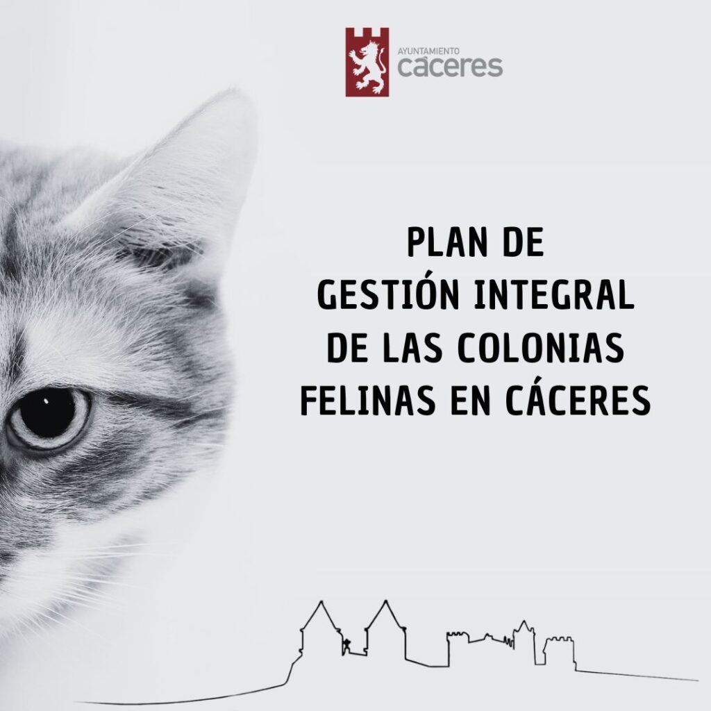 La Gestión de colonias felinas en Cáceres presenta un balance de 150 gatos atendidos en tres meses Colonias Felinas cc
