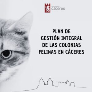 Colonias Felinas cc