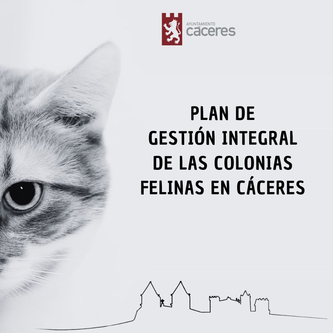 Colonias Felinas cc
