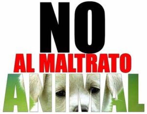 maltrato animal