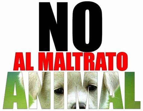 maltrato animal