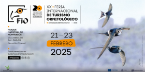 fio 2025