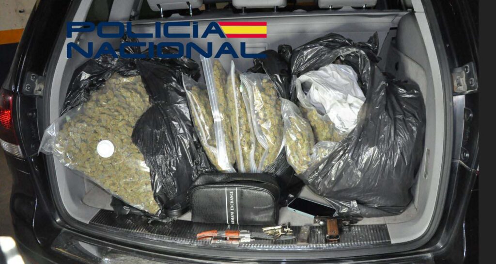 droga 1