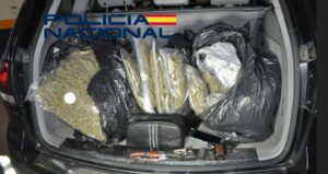 droga 1
