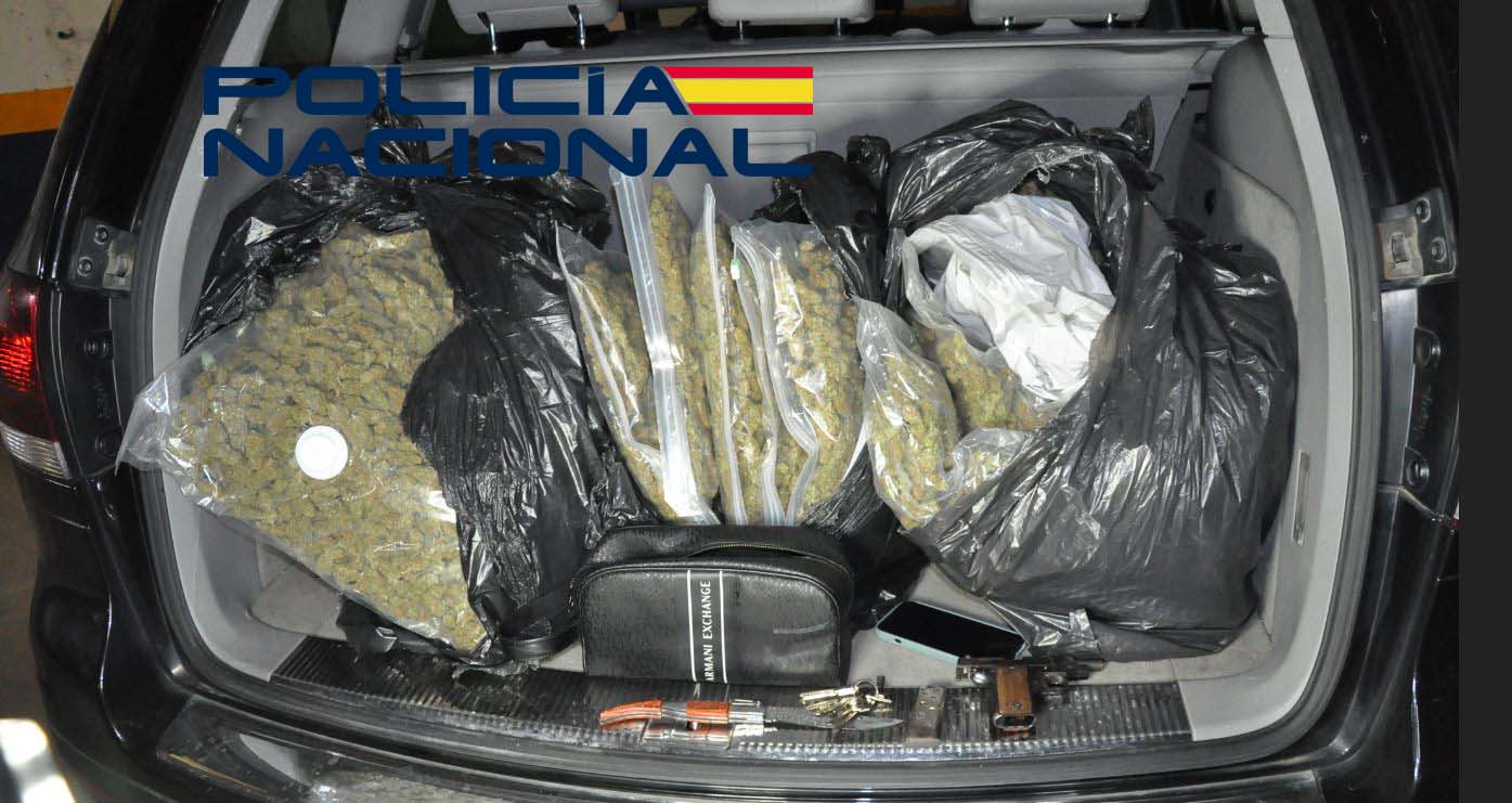 droga 1