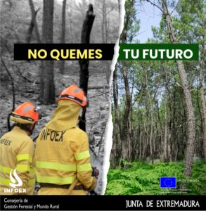 incendios
