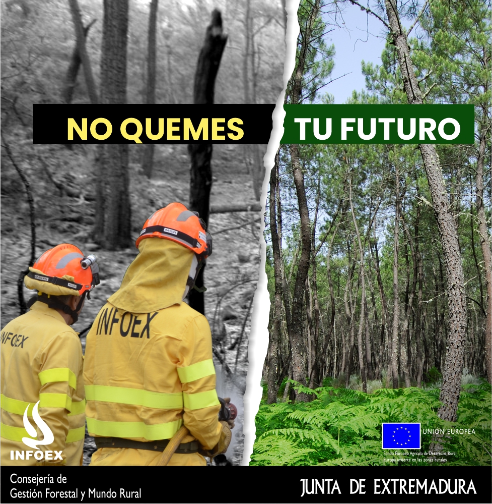 incendios