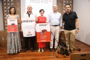 coches movilidad 2