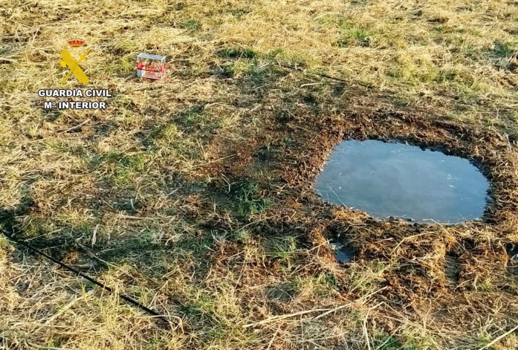 Sorprendido cazando con jilgueros como señuelo fotonoticia 20250805112040 1920