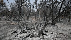 incendio 2