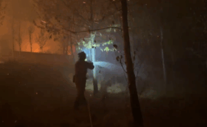 incendio 3