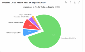 infografia caza